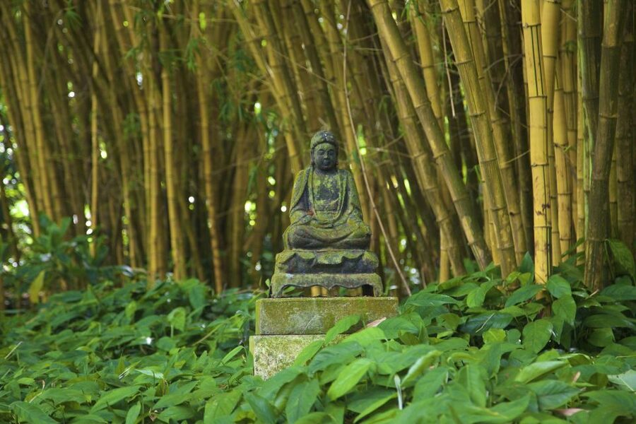 Kauai: Allerton Garden and Estate Tour with Sunset Dinner - What the guides add to the experience