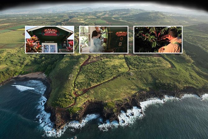 Kauai Canyon Explorer: Private Tour Featuring Waimea & Kokee - Waimea Canyon is the main event, even with the lookout closure