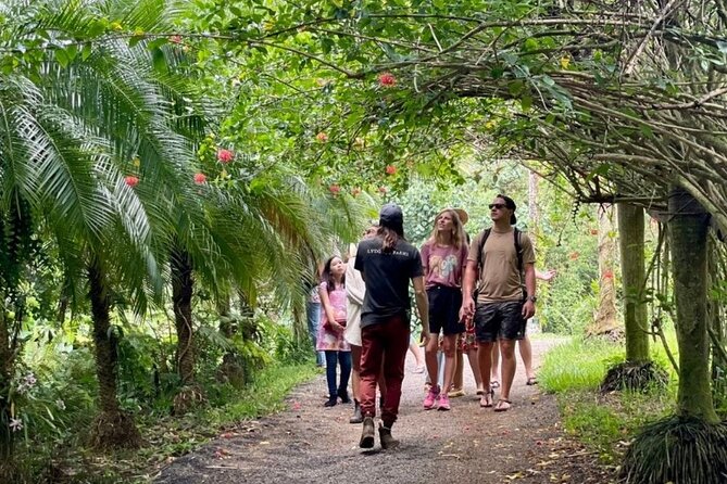 Kauai Chocolate Farm Tasting Tour - What makes Lydgate Farms different from a regular chocolate tasting