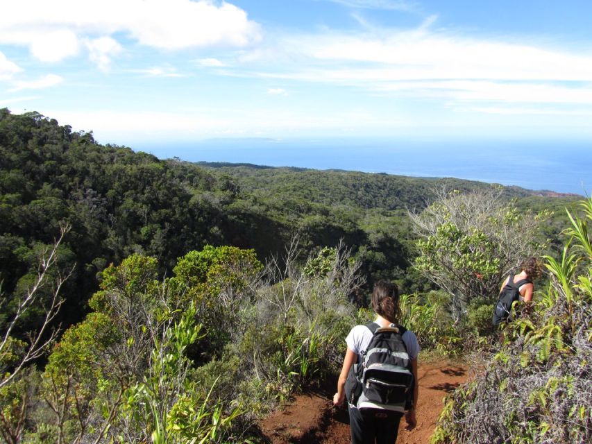 Kauai: Full-Day Kauaʻi Adventure - Why a private day works well on Kauaʻi