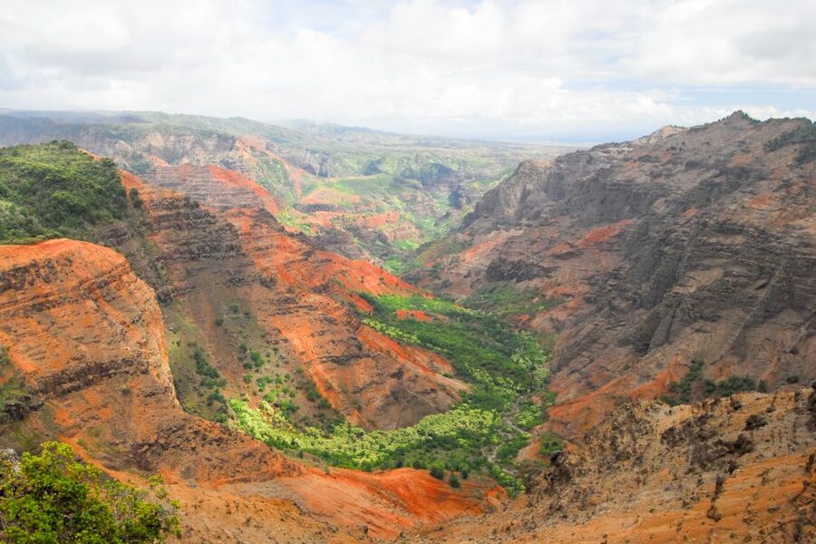 Kauai: Full-Day Waimea Canyon & Wailua River Tour - Cruising the Wailua River to Fern Grotto