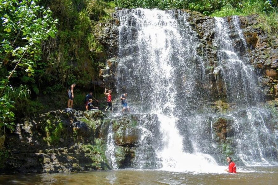 Kauai: Guided Hike and Waterfall Swim - Papakolea Falls brings the real adventure