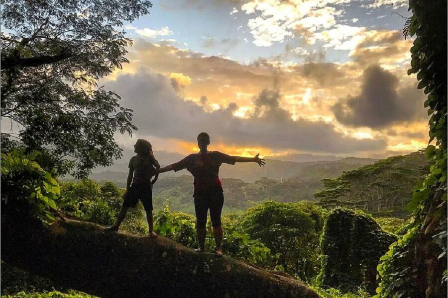 Kauai: Half-Day Kauaʻi Adventure - Who will get the most from this adventure