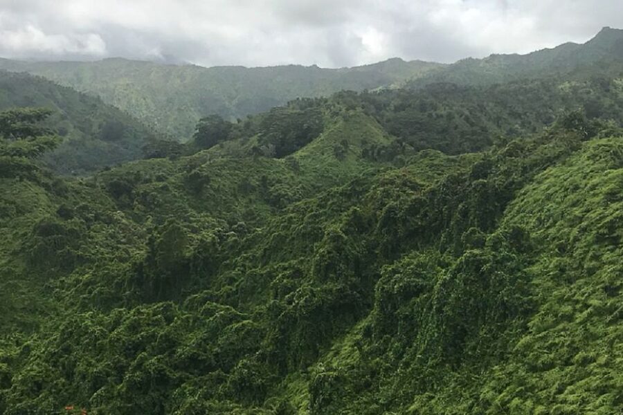 Kauai: Half-Day Kauaʻi Adventure - Waterfalls, cool water, and a flexible pace