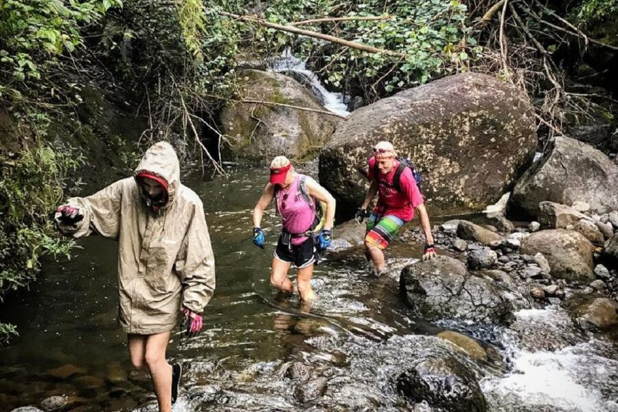 Kauai: Half-Day Kauaʻi Adventure - What your guide adds to the walk
