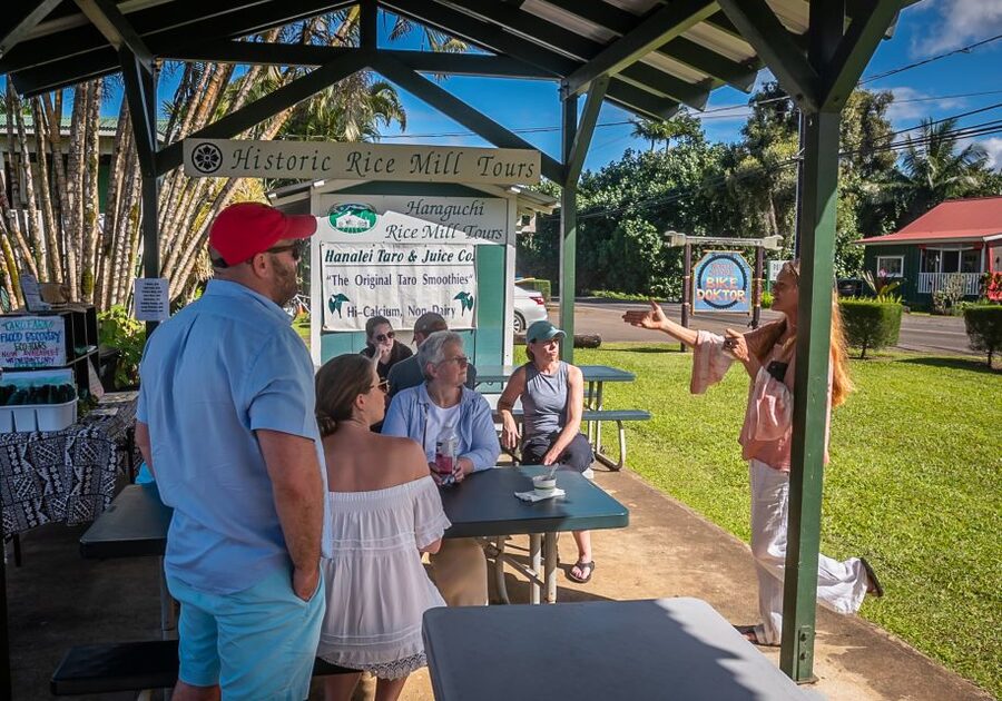 Kauai: Local Tastes Small Group Food Tour - Who should book this experience?