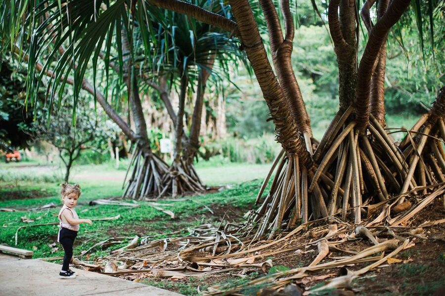 Kauai: McBryde Garden Self Guided Visit - What to bring and who should book