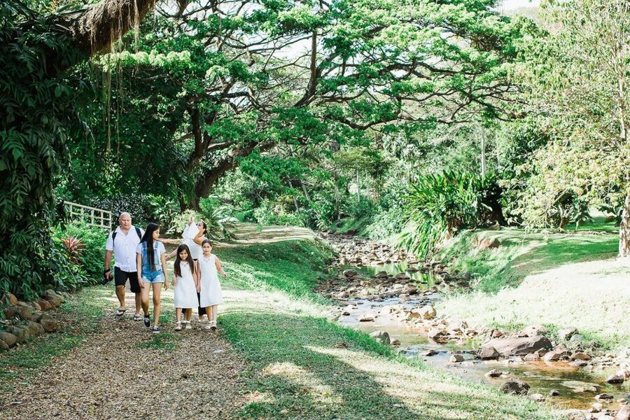 Kauai: McBryde Garden Self Guided Visit - The ride from Spouting Horn into Lawai Valley