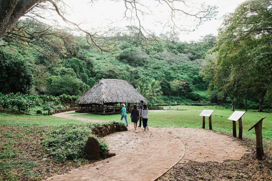 Kauai: McBryde Garden Self Guided Visit - Agroforestry, spices, and water features