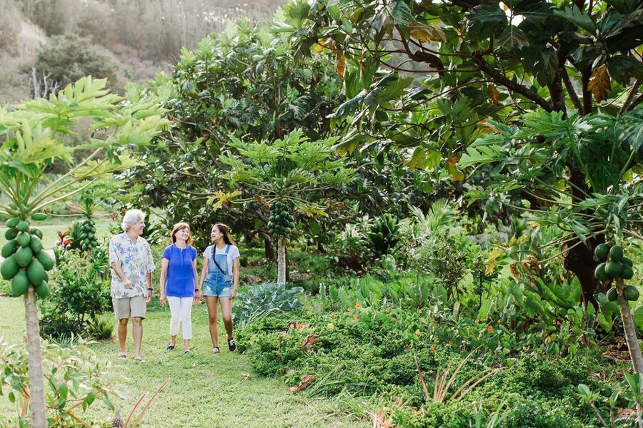 Kauai: McBryde Garden Self Guided Visit - How the 150-minute visit works for different interests