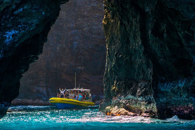 Kauai: Na Pali Coast Super Raft Snorkel Adventure - Dolphins, whales, turtles, and the wildlife factor