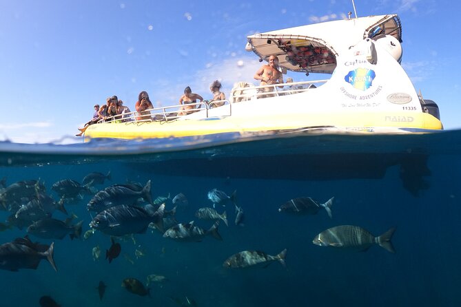 Kauai: Na Pali Coast Super Raft Snorkel Adventure - The snorkeling stop and what you need to know