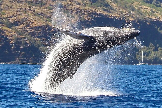 Kauai: Nā Pali Coast Zodiac Raft Expedition and Snorkeling - Food, equipment, and what to bring