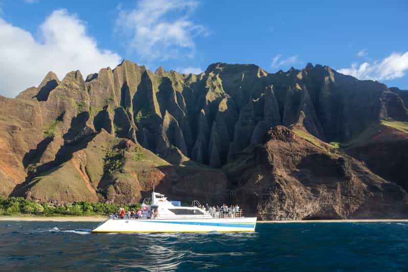 Kauai: Napali Sunset Dinner Cruise - Wildlife watching without a guarantee