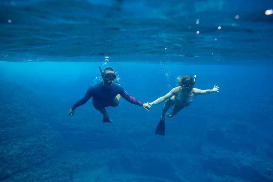Kauai: Niihau and Na Pali Coast Full-Day Boat Tour - Who should book this trip?