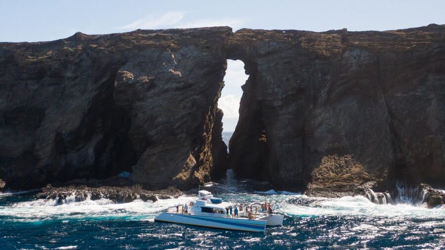 Kauai: Niihau and Na Pali Coast Full-Day Boat Tour - Group size, crew service, and comfort