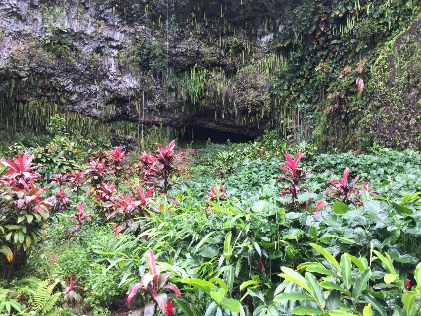 Kauai Northeast Tour, Fern Grotto River Cruise & Lighthouse - The Wailua River cruise to Fern Grotto