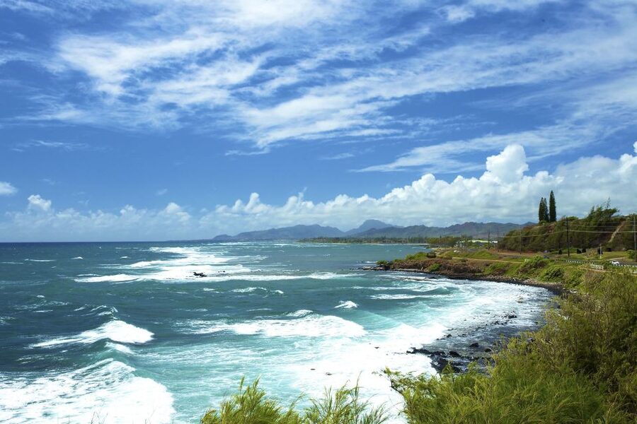 Kauai Northeast Tour, Fern Grotto River Cruise & Lighthouse - Comfort, pace, and practical limits