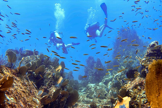 Kauai's Exclusive Morning Scuba Charter for Experienced Divers - Why this Kauai charter suits experienced scuba divers