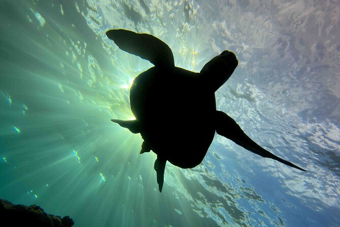 Kauai's Exclusive Morning Scuba Charter for Experienced Divers - Comfort details that matter after time in the water