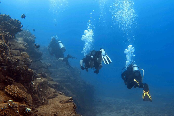 Kauai's Exclusive Morning Scuba Charter for Experienced Divers - Is the $259.11 price good value?