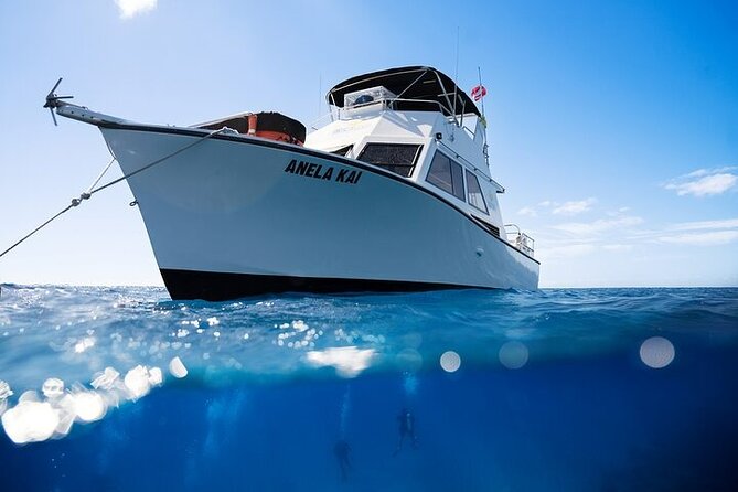 Kauai's Exclusive Morning Scuba Charter for Experienced Divers - A 7:30 am start from Poipu