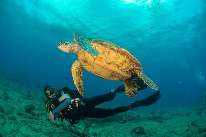 Kauai's Ultimate Discover Scuba Dive - OCEAN EXPERIENCE (1 Tank Dive) - From Koloa Landing to Your First Breath Underwater