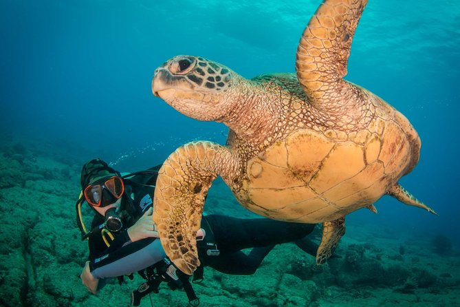Kauai's Ultimate Discover Scuba Dive - OCEAN EXPERIENCE (1 Tank Dive) - What the 40-Foot Limit Really Means