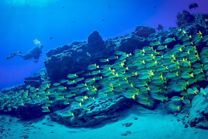 Kauai's Ultimate Dive Boat Adventure (for CERTIFIED Divers Only) - Equipment included, with one useful detail