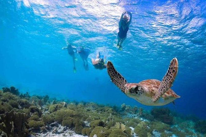 Kauai’s Ultimate Guided Shore Snorkel in South Poipu - Why this Poipu snorkel works so well for beginners