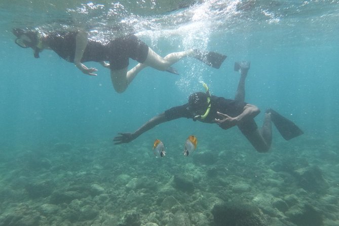 Kauai’s Ultimate Guided Shore Snorkel in South Poipu - Who gets the most from this Poipu experience