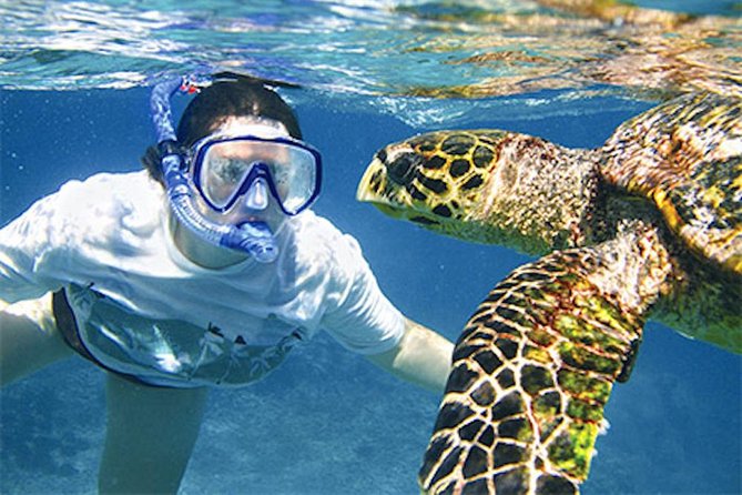 Kauai's Ultimate South Island Zodiac Boat Snorkel Adventure - Spouting Horn and the Poipu Coast
