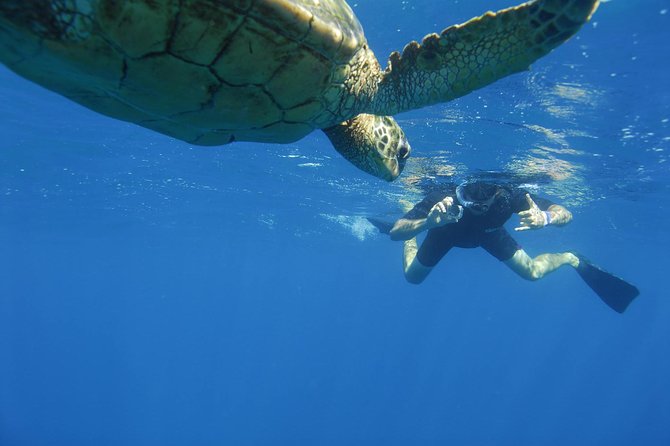 Kauai's Ultimate South Island Zodiac Boat Snorkel Adventure - Gear, Snacks, and Practical Comfort