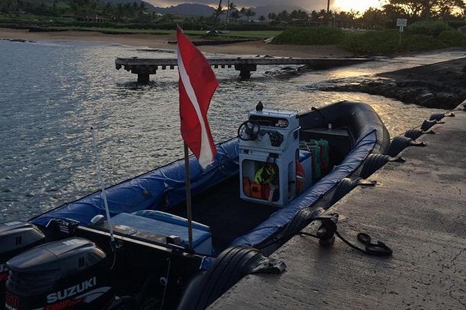 Kauai's Ultimate South Island Zodiac Boat Snorkel Adventure - Who Should Book This Zodiac Adventure