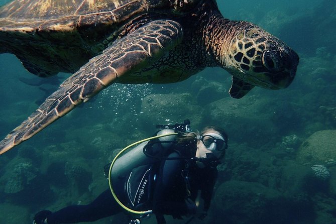 Kauai's Ultimate South Shore 2 Tank Dive (Certified Divers Only) - Why Hanaka’ape Bay makes a good first stop