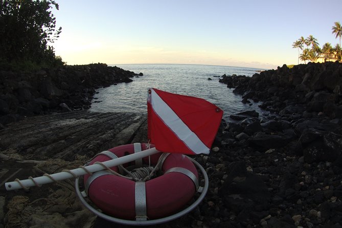 Kauai's Ultimate South Shore 2 Tank Dive (Certified Divers Only) - The guides make the difference