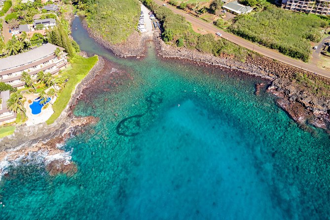 Kauai's Ultimate South Shore 2 Tank Dive (Certified Divers Only) - Price and the value of a four-hour outing