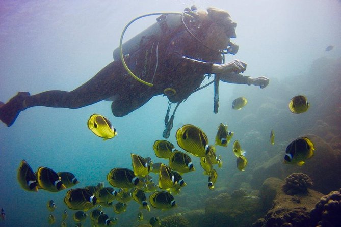 Kauai's Ultimate South Shore 2 Tank Dive (Certified Divers Only) - Should you book it?