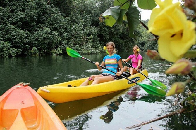 Kauai: Secret Falls Kayak and Hike - Why Secret Falls is worth the work
