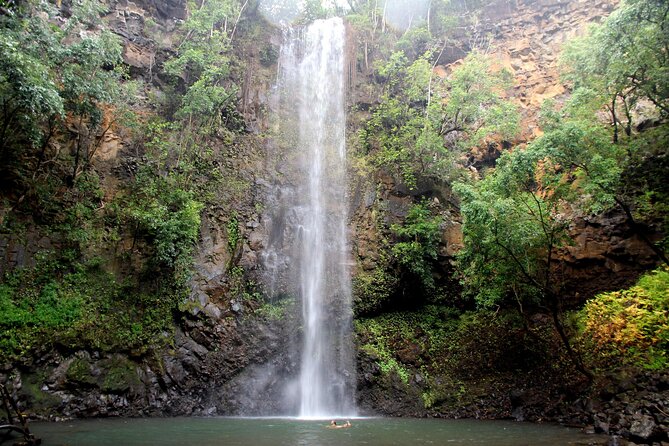Kauai: Secret Falls Kayak and Hike - The rainforest trail to the falls