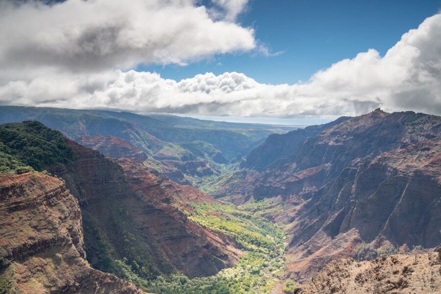 Kauai: Waimea Canyon and Koke'e State Park Tour - Why this tour works for seeing west Kauai