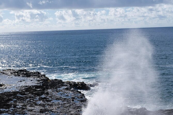 Kauai Waimea Canyon and Koke'e Tour - Coffee, beach, and Russian history on the return route