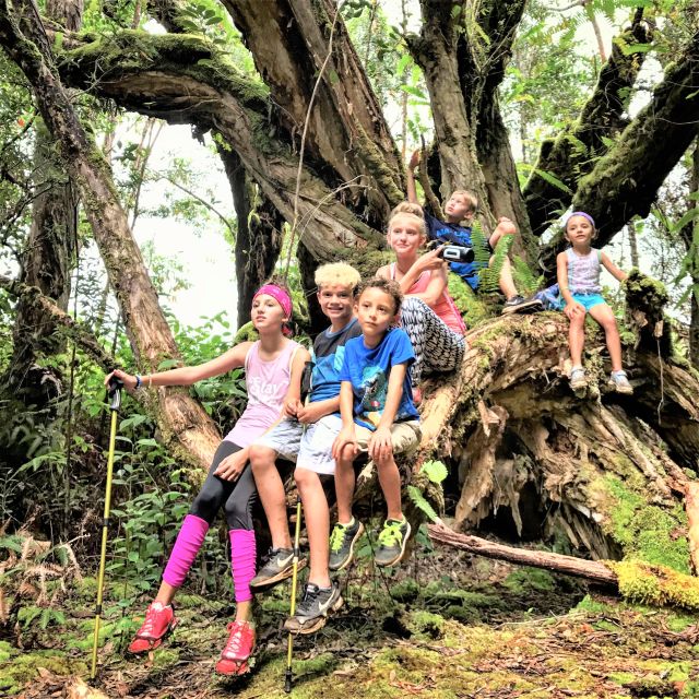 Kauai: Waimea Canyon & Kokeʻe State Park Private Tour - Key points at a glance