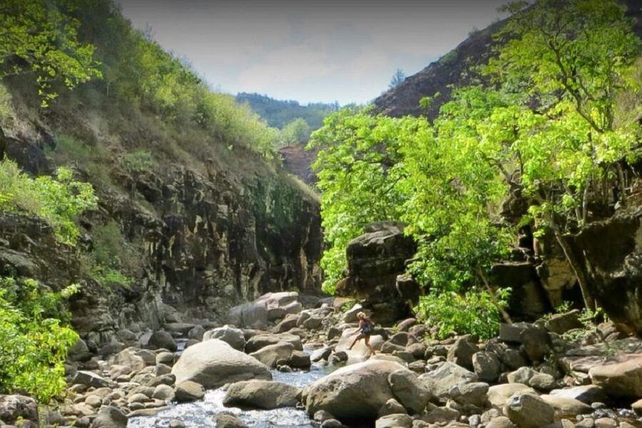 Kauai: Waimea Canyon & Kokeʻe State Park Private Tour - What to pack for a high, wet day