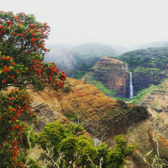 Kauai: Waimea Canyon & Kokeʻe State Park Private Tour - Kōkeʻe State Park and the high country