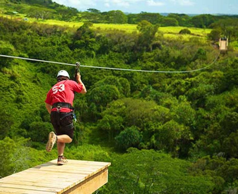Kauai: Zipline Adventure - Key points to know before you book