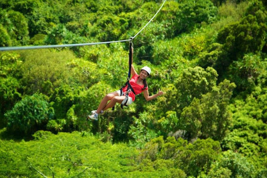 Kauai: Zipline Adventure - What this Kauai zipline tour is really like