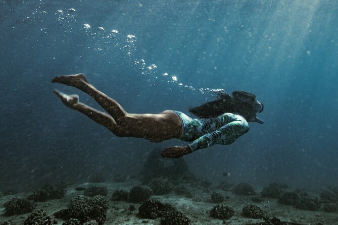 Kayak, Snorkel, and Surf with Turtles in Honolulu - The 20-minute shipwreck snorkel