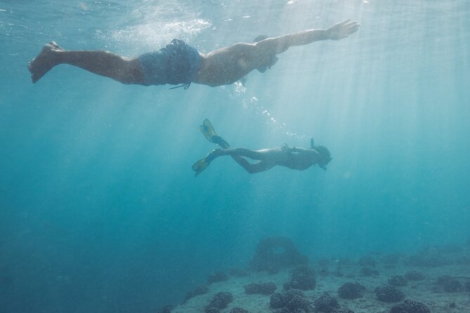 Kayak, Snorkel, and Surf with Turtles in Honolulu - Who will enjoy this Honolulu water tour