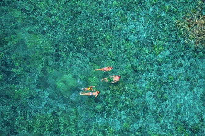 Kealakekua Bay Afternoon Snorkel: Family Fun on the Kona Coast - Is $143.93 a fair price?